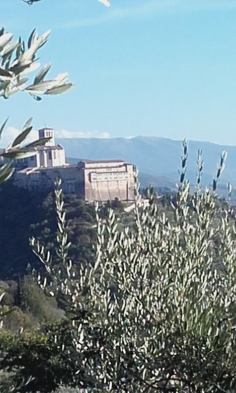 B&B Colle San Francesco Assisi Exterior foto