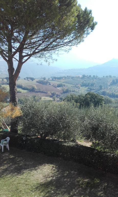 B&B Colle San Francesco Assisi Exterior foto